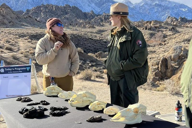 A forest service employee talking to someone. Rocks and animal skulls are on a table.