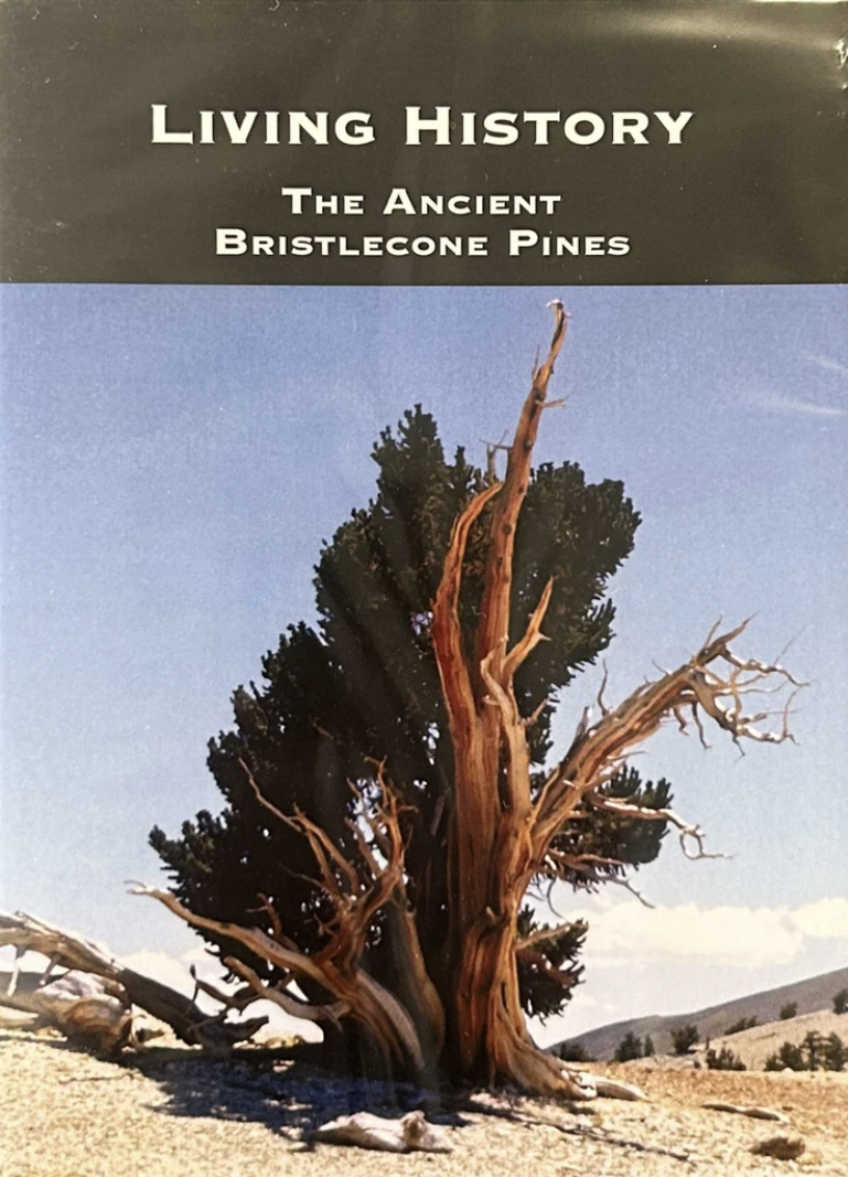 A book with a Bristlecone Pine