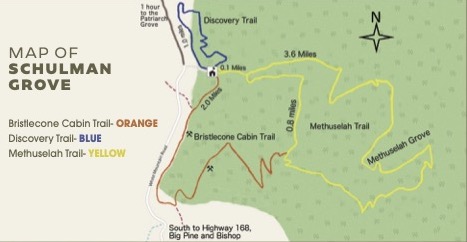 Map of the Schulman Grove and the Bristlecone Cabin Trail, the Discovery Trail, and the Methuselah Trail